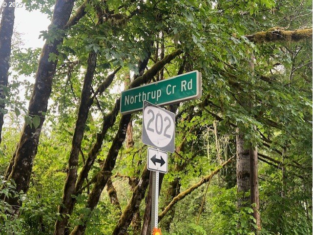 Northrup Creek Rd Property Photo 21
