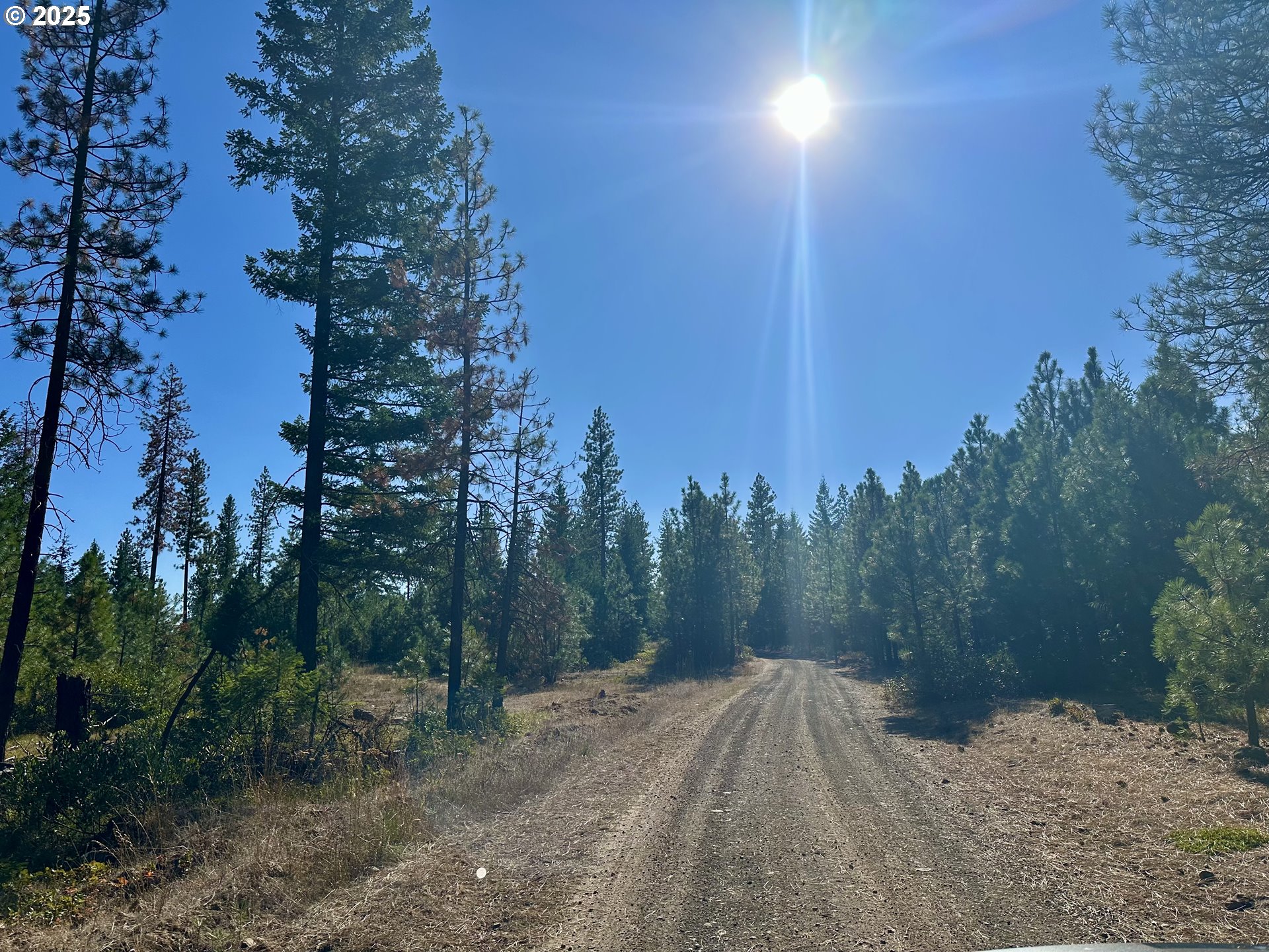 Mule Run Rd 13 Property Photo 3