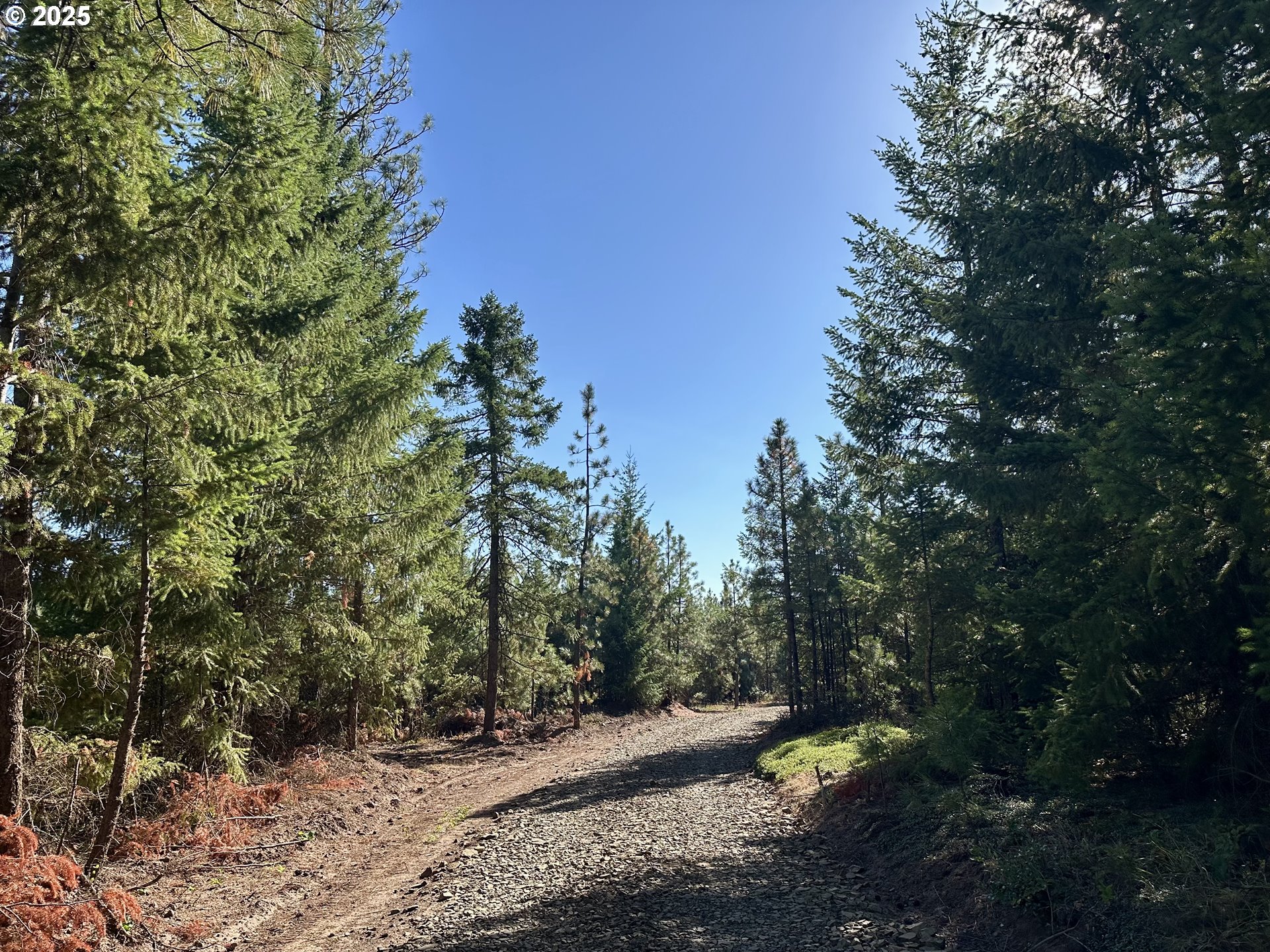 Mule Run Rd 13 Property Photo 4