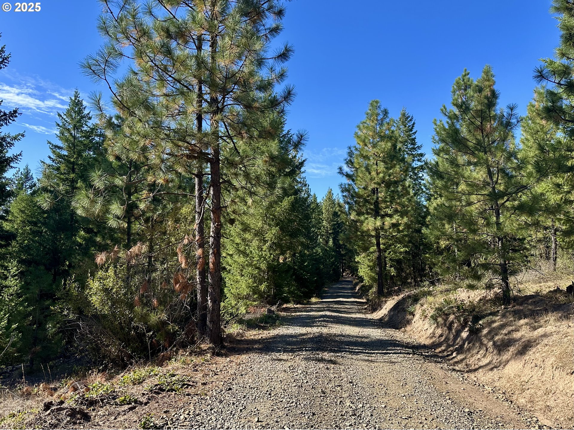 Mule Run Rd 13 Property Photo 5