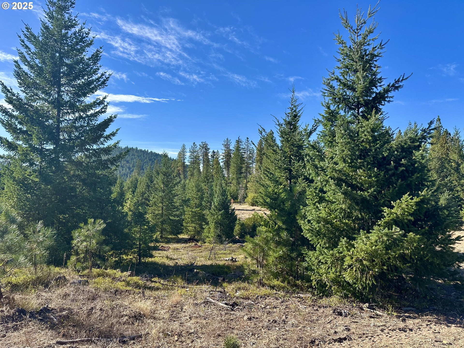 Mule Run Rd 13 Property Photo 8