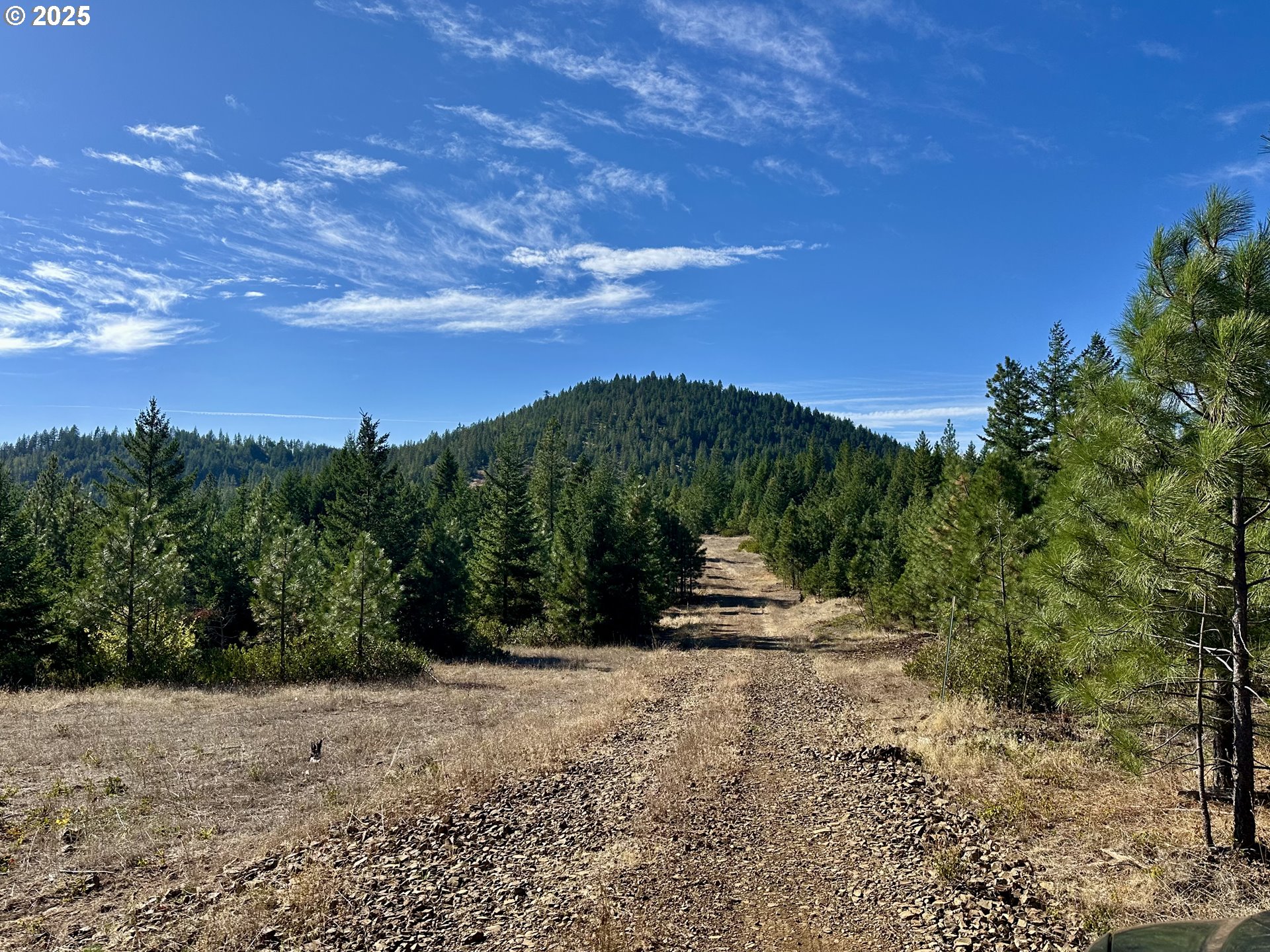 Mule Run Rd 13 Property Photo 10