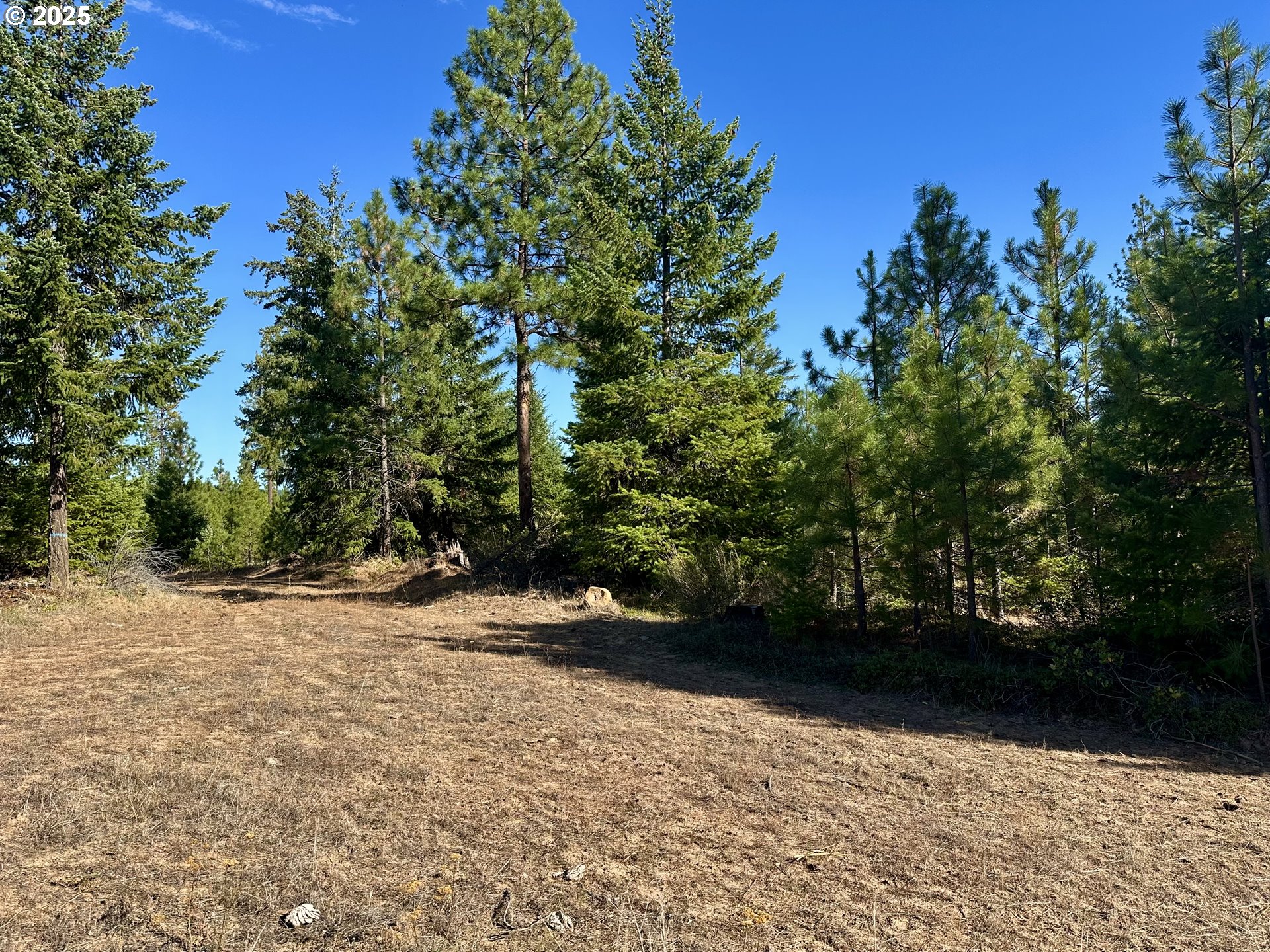 Mule Run Rd 13 Property Photo 11