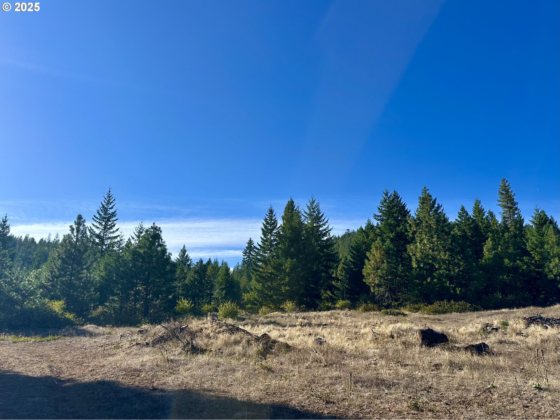 Mule Run Rd 13 Property Photo 14
