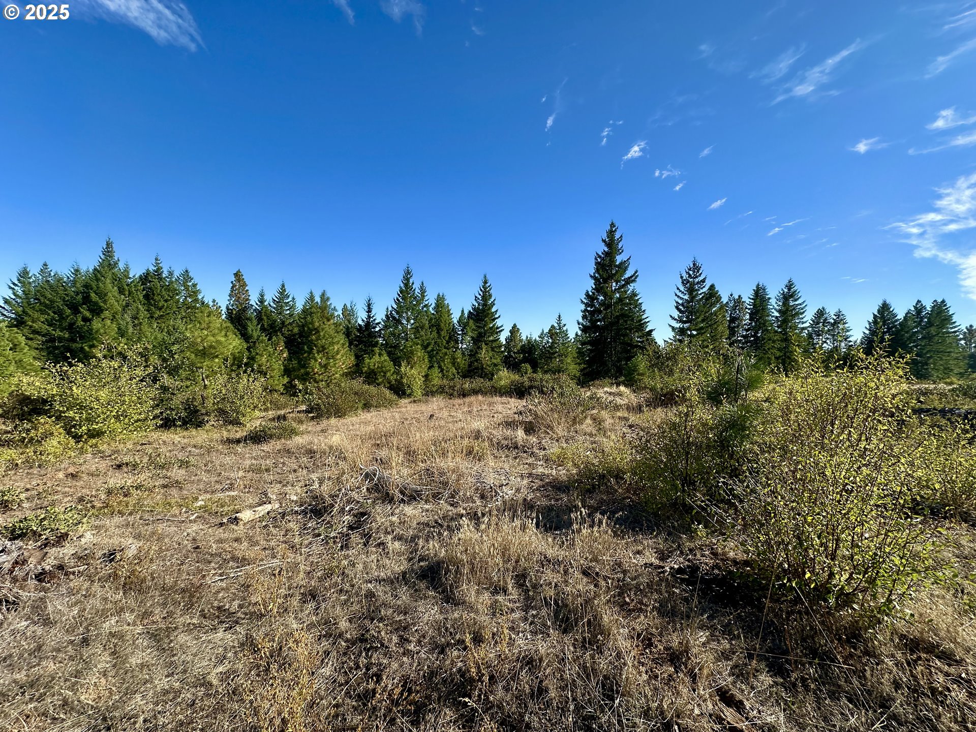Mule Run Rd 13 Property Photo 15