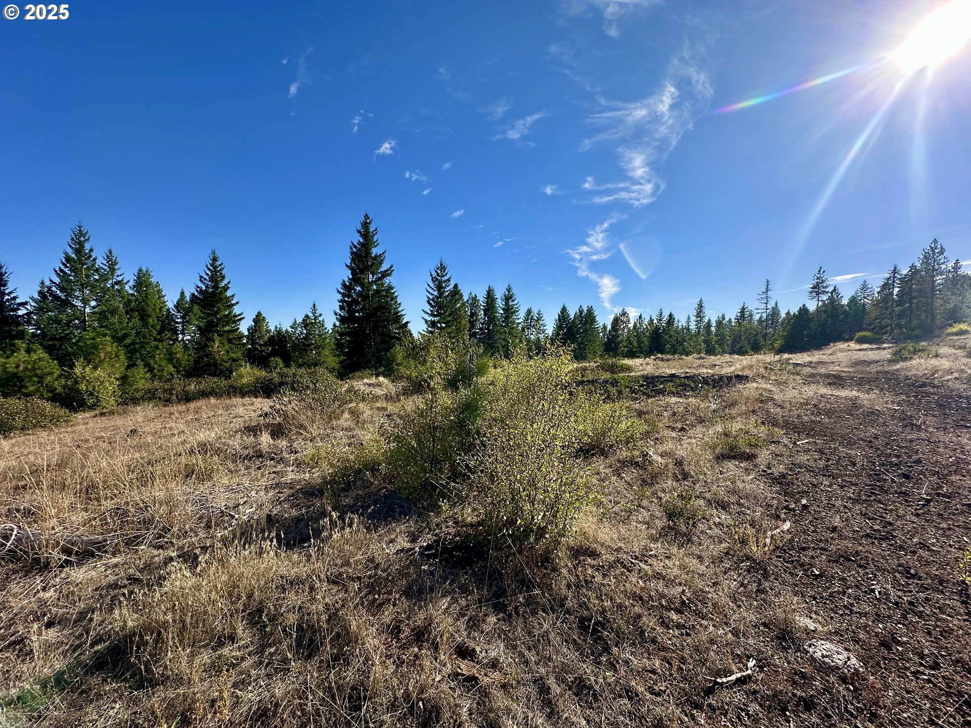 Mule Run Rd 13 Property Photo 16