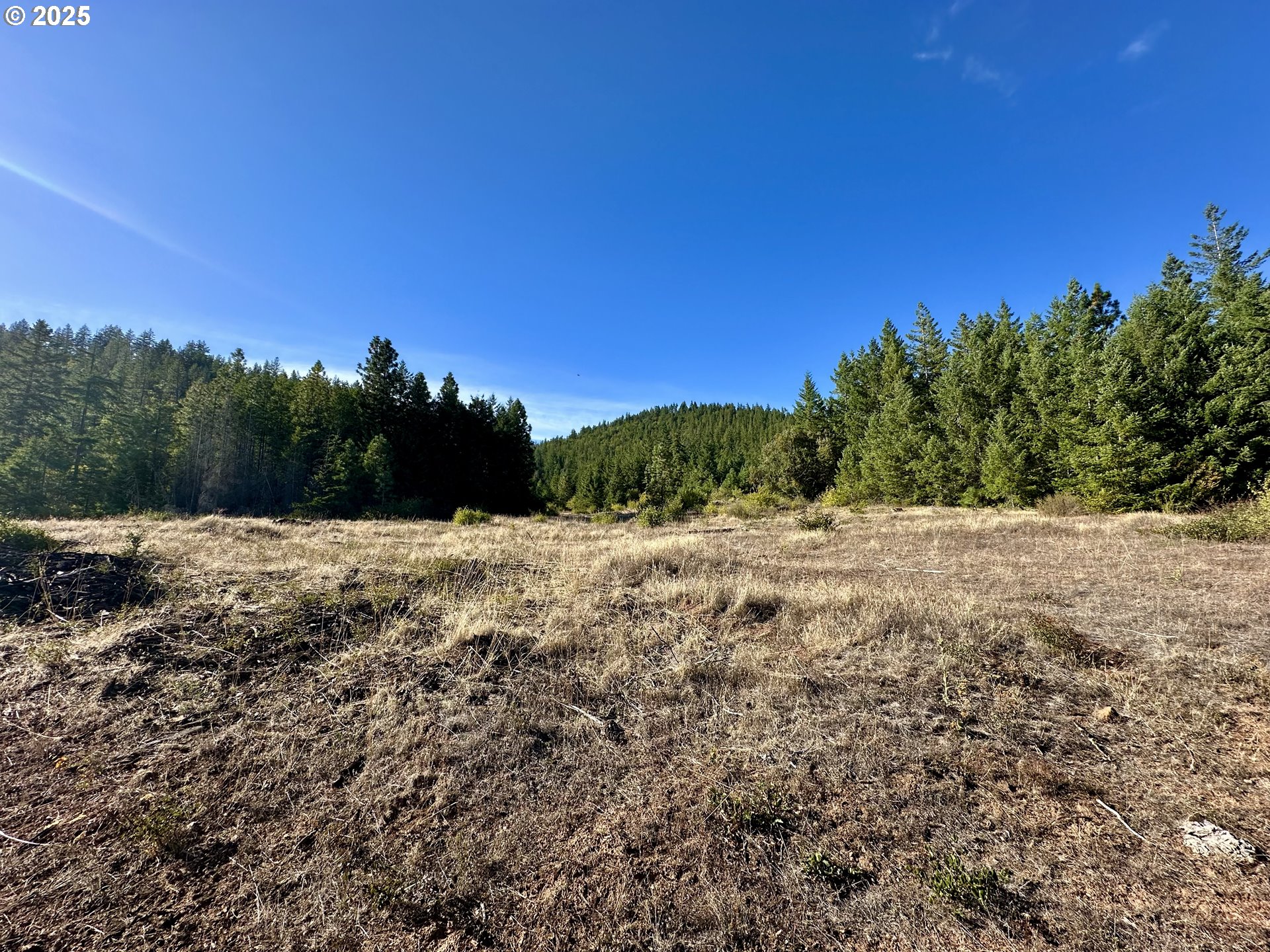 Mule Run Rd 13 Property Photo 17