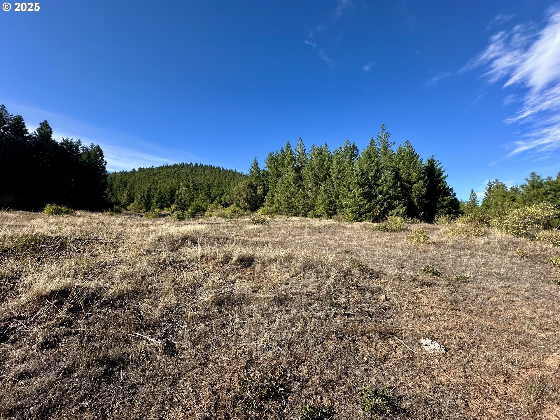 Mule Run Rd 13 Property Photo 18