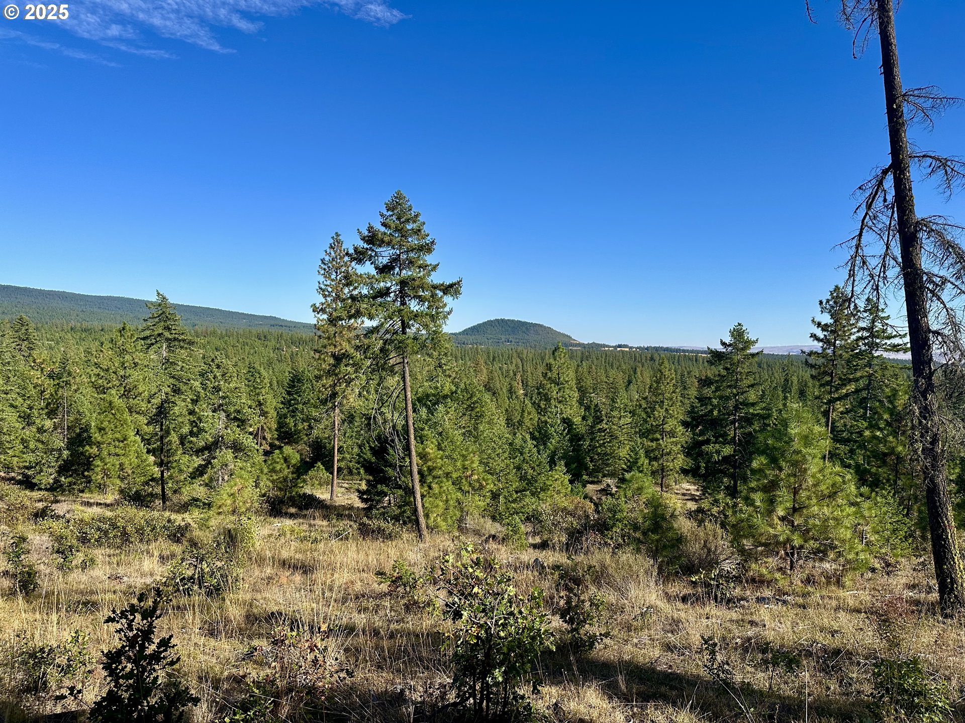 Mule Run Rd 13 Property Photo 21