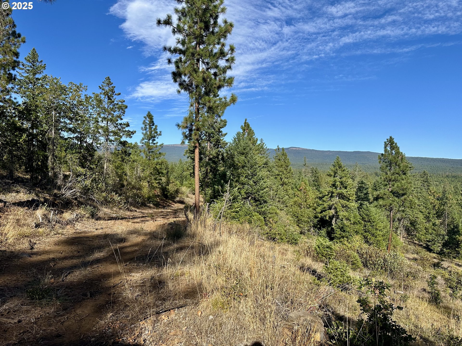 Mule Run Rd 13 Property Photo 22