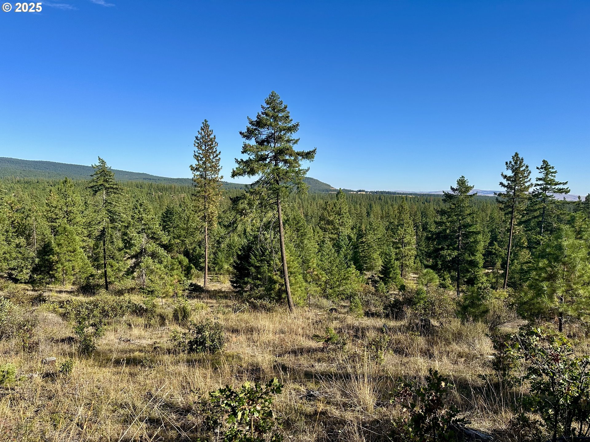 Mule Run Rd 13 Property Photo 23
