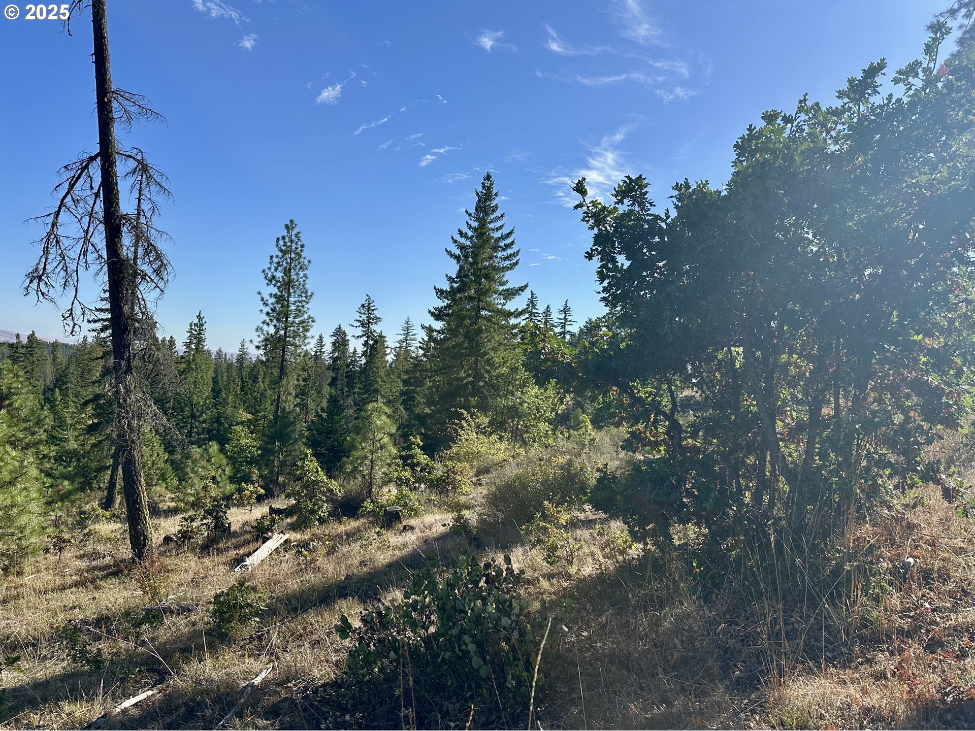 Mule Run Rd 13 Property Photo 24