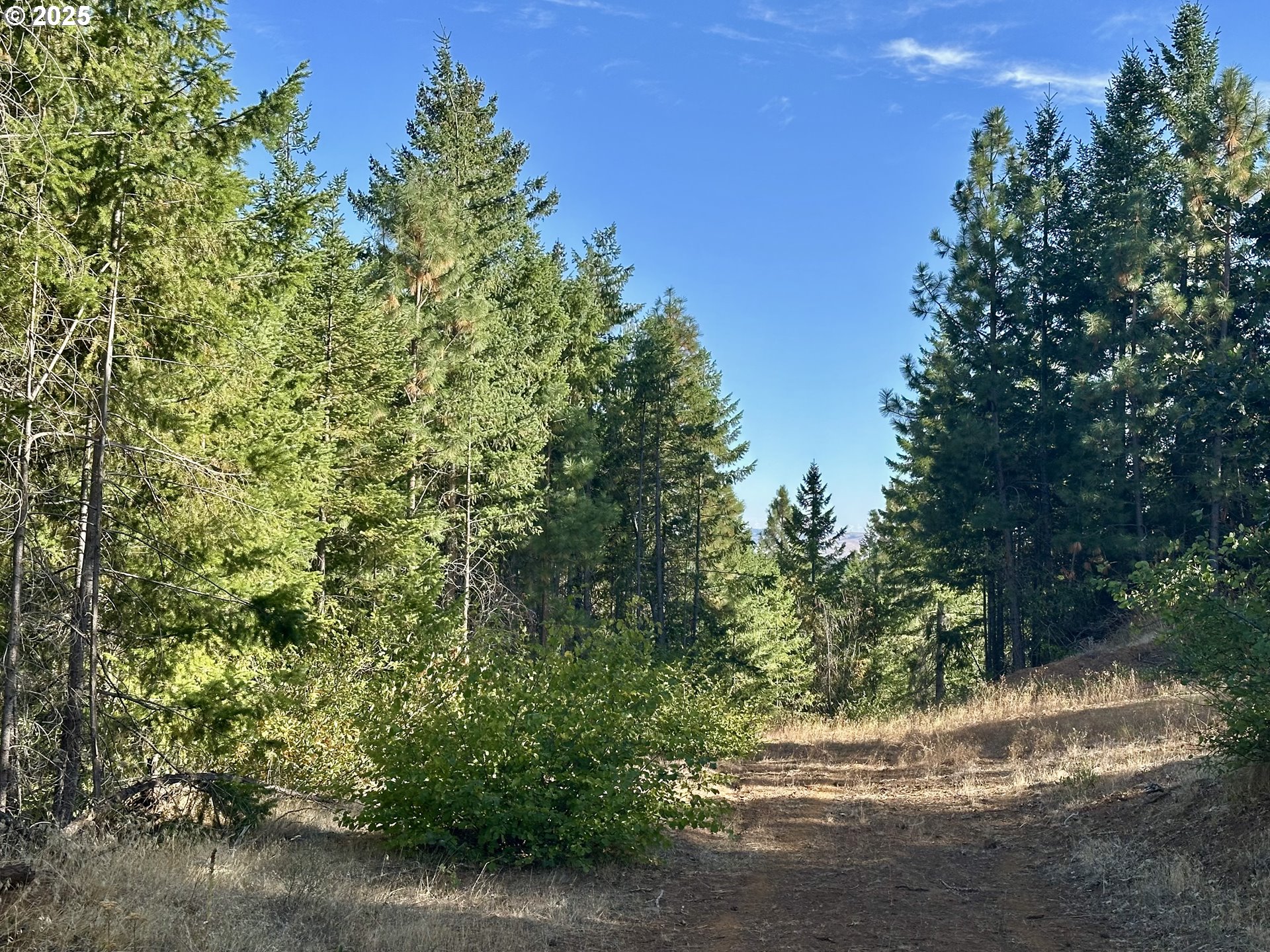Mule Run Rd 13 Property Photo 26
