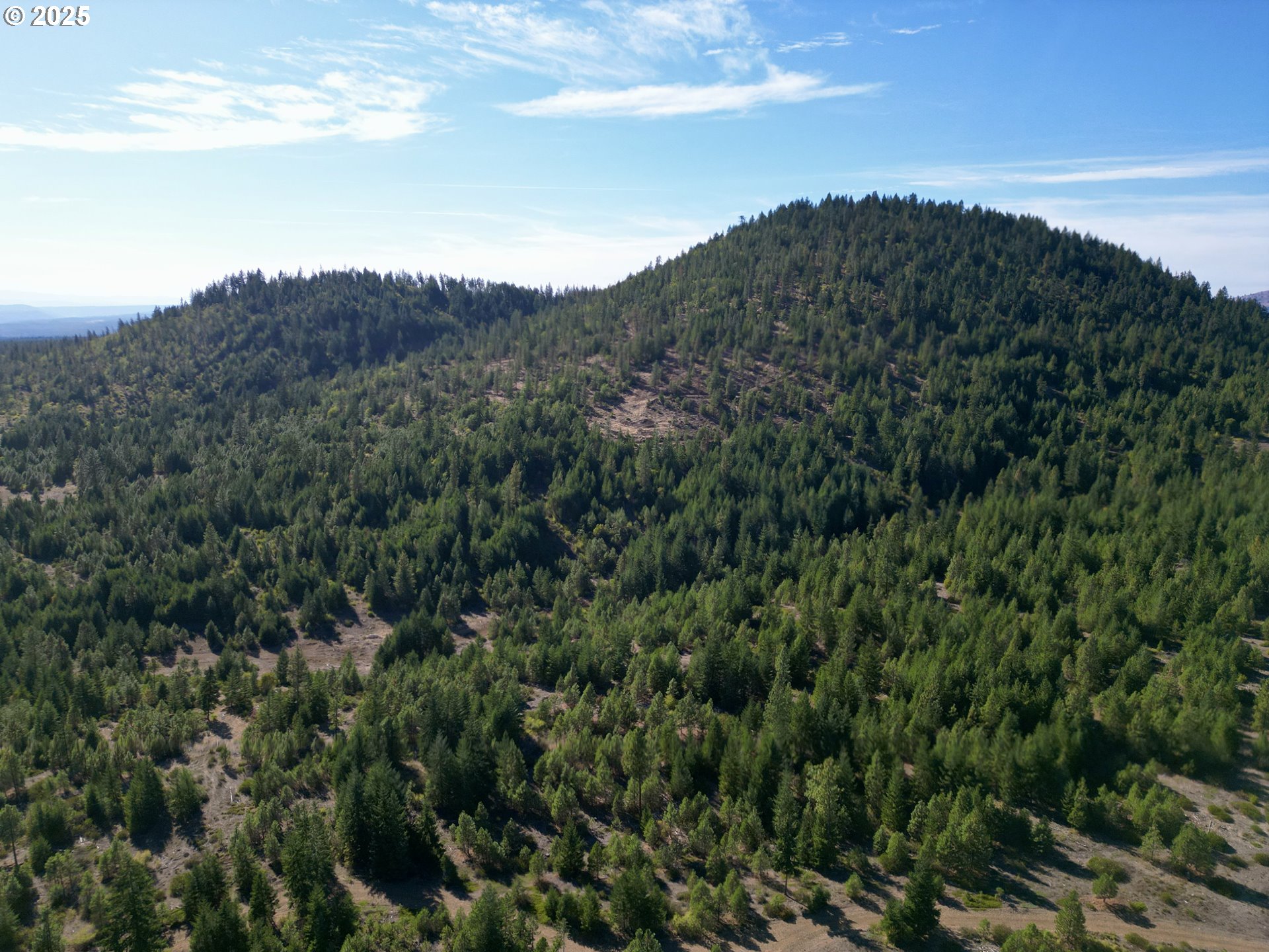 Mule Run Rd 13 Property Photo 39