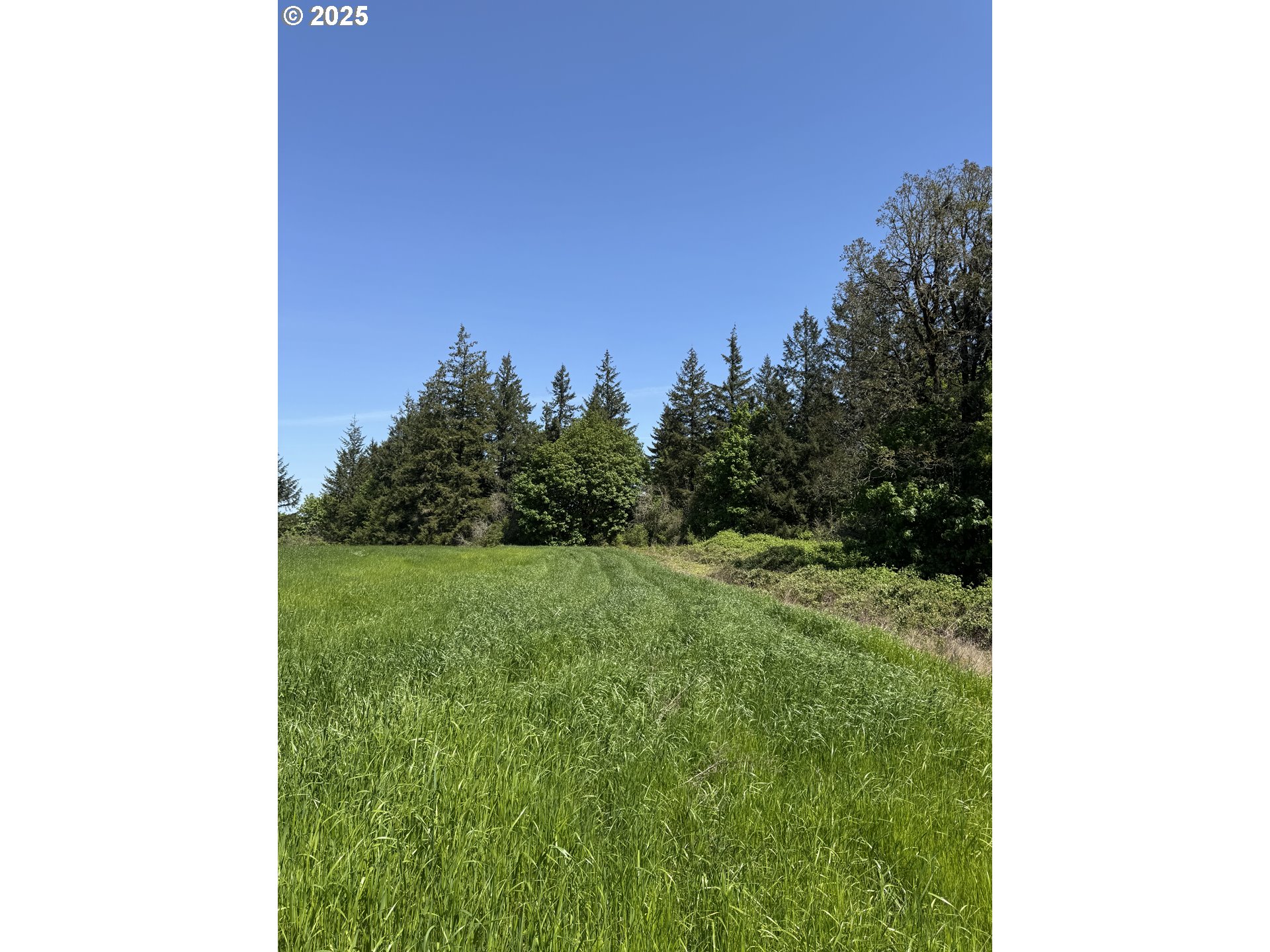 10042 Helmick Rd Property Photo 3