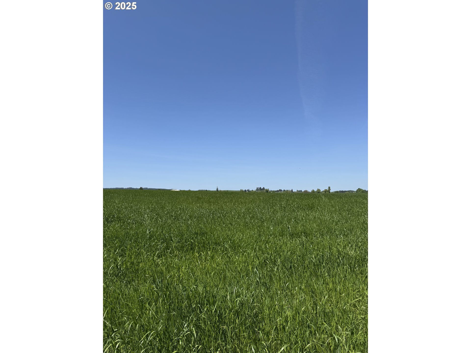 10042 Helmick Rd Property Photo 4