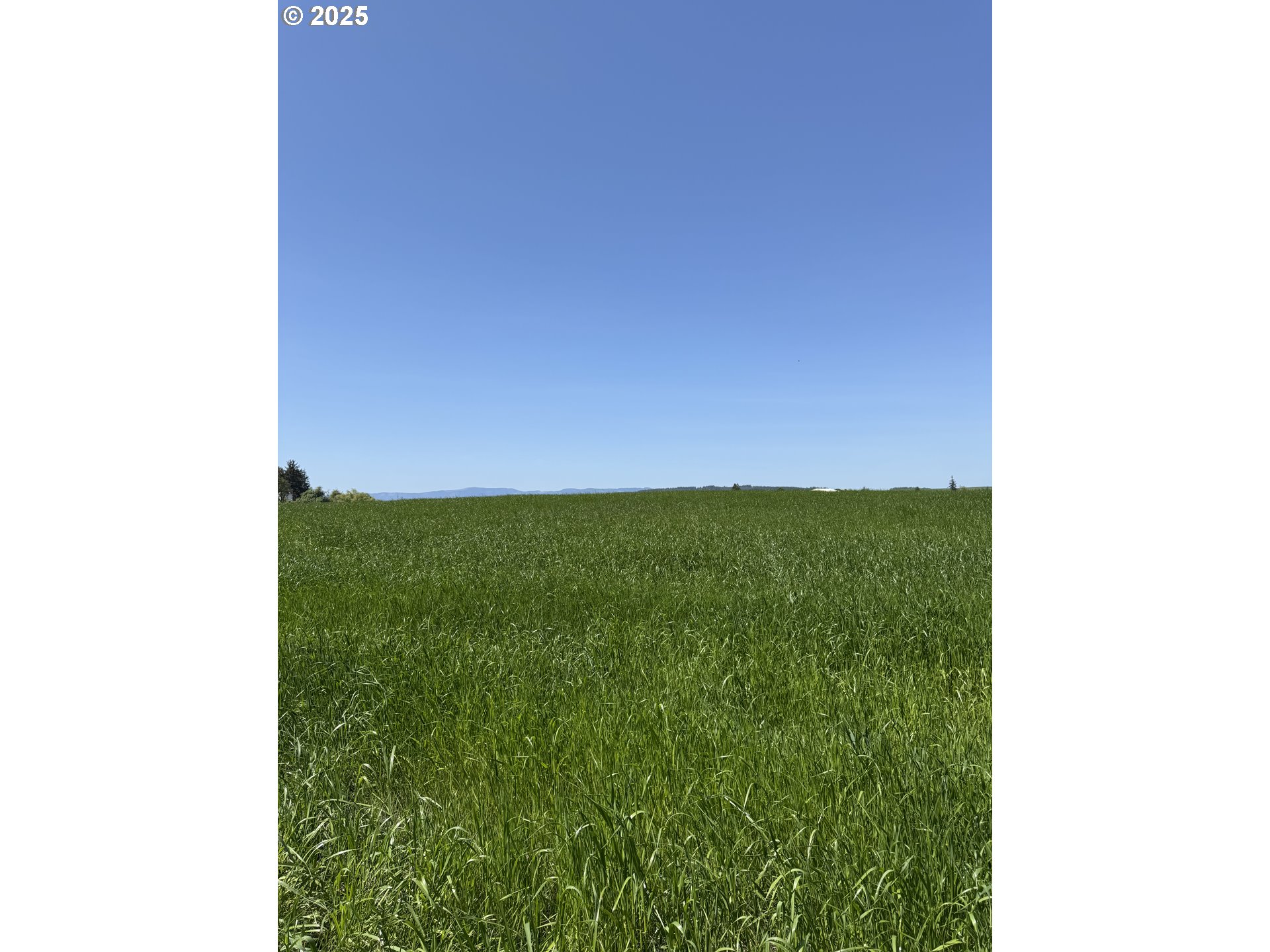 10042 Helmick Rd Property Photo 5