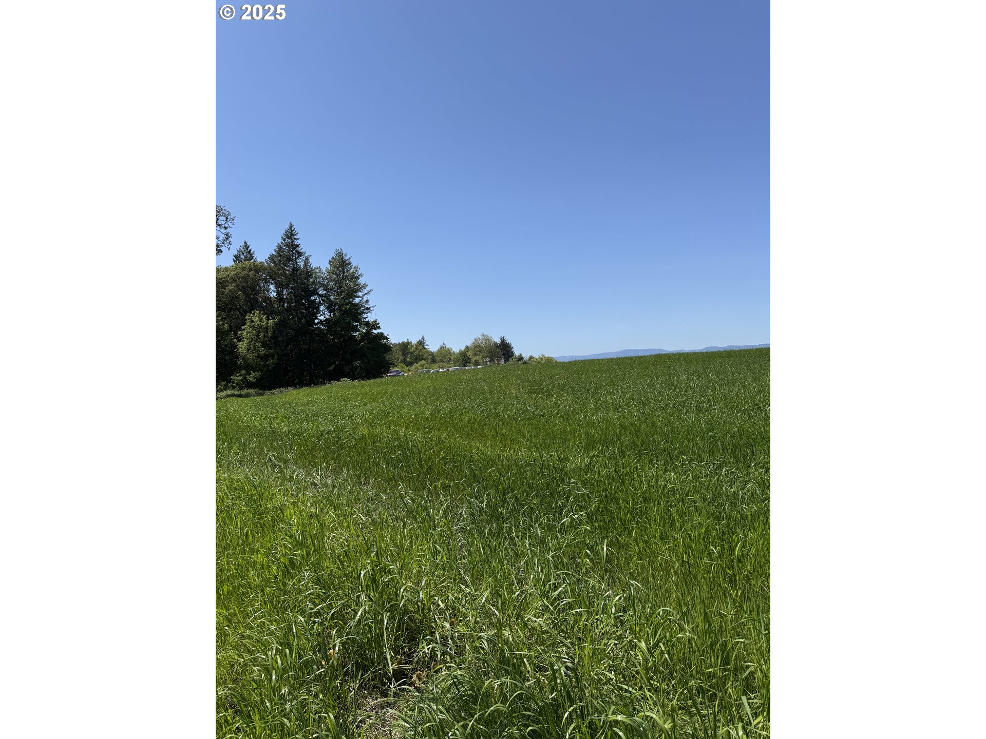 10042 Helmick Rd Property Photo 6