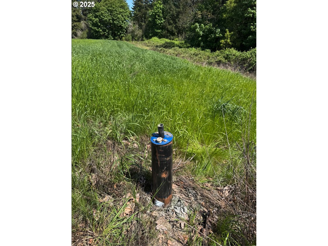 10042 Helmick Rd Property Photo 7