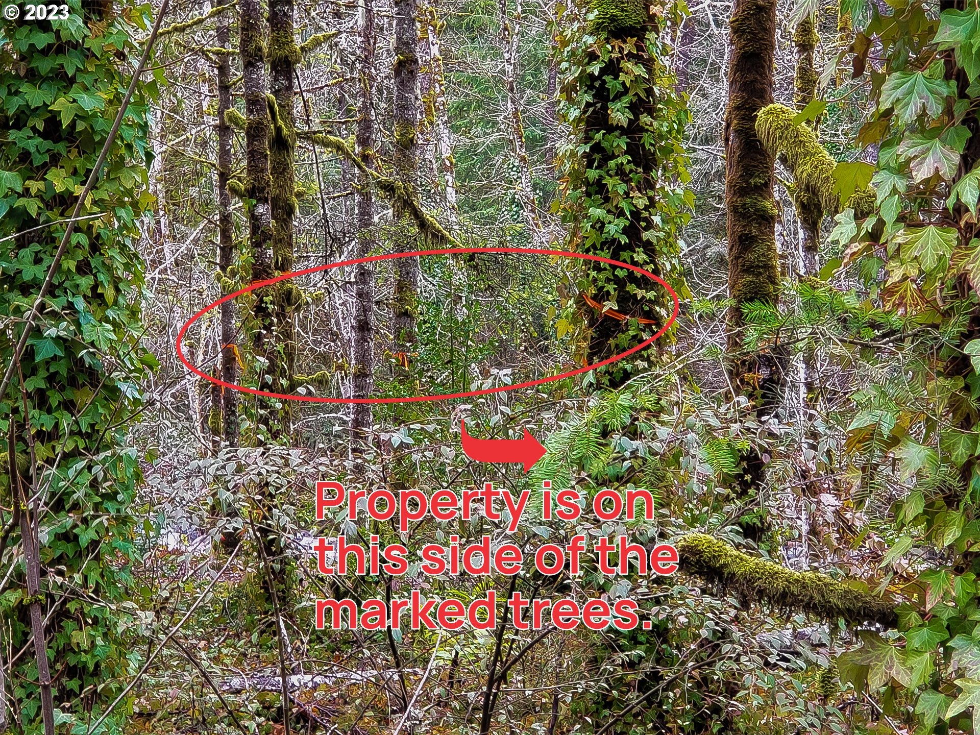 E Barlow Trail Rd Property Photo 4