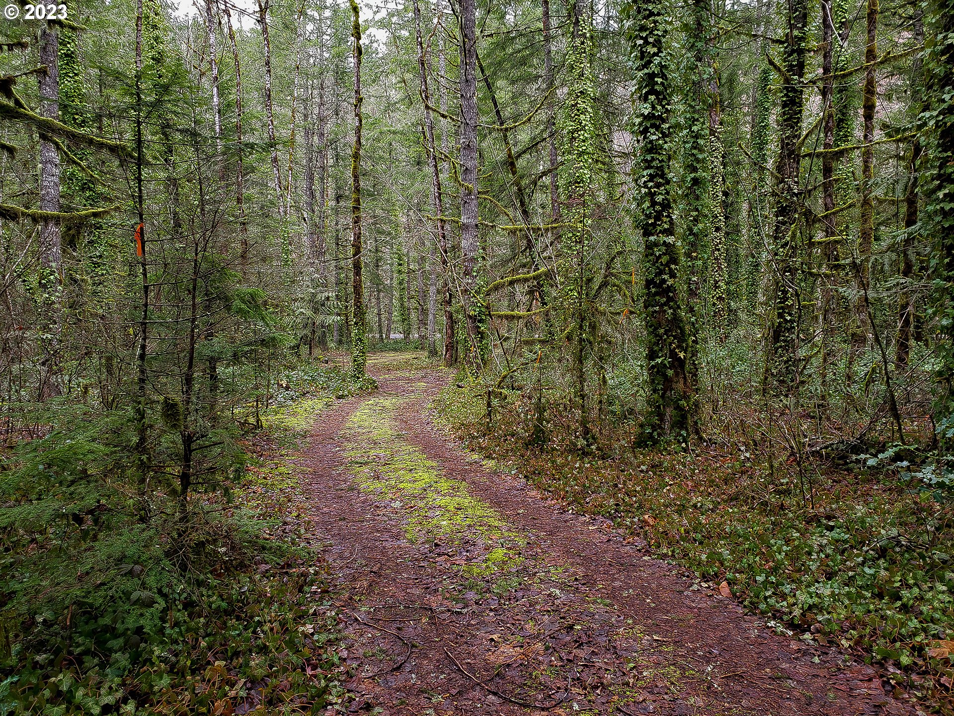E Barlow Trail Rd Property Photo 5