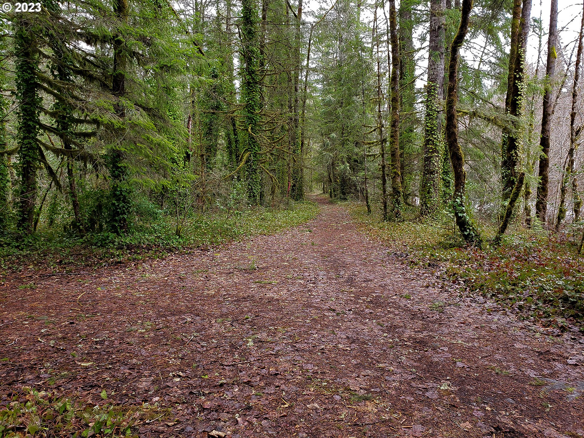 E Barlow Trail Rd Property Photo 6