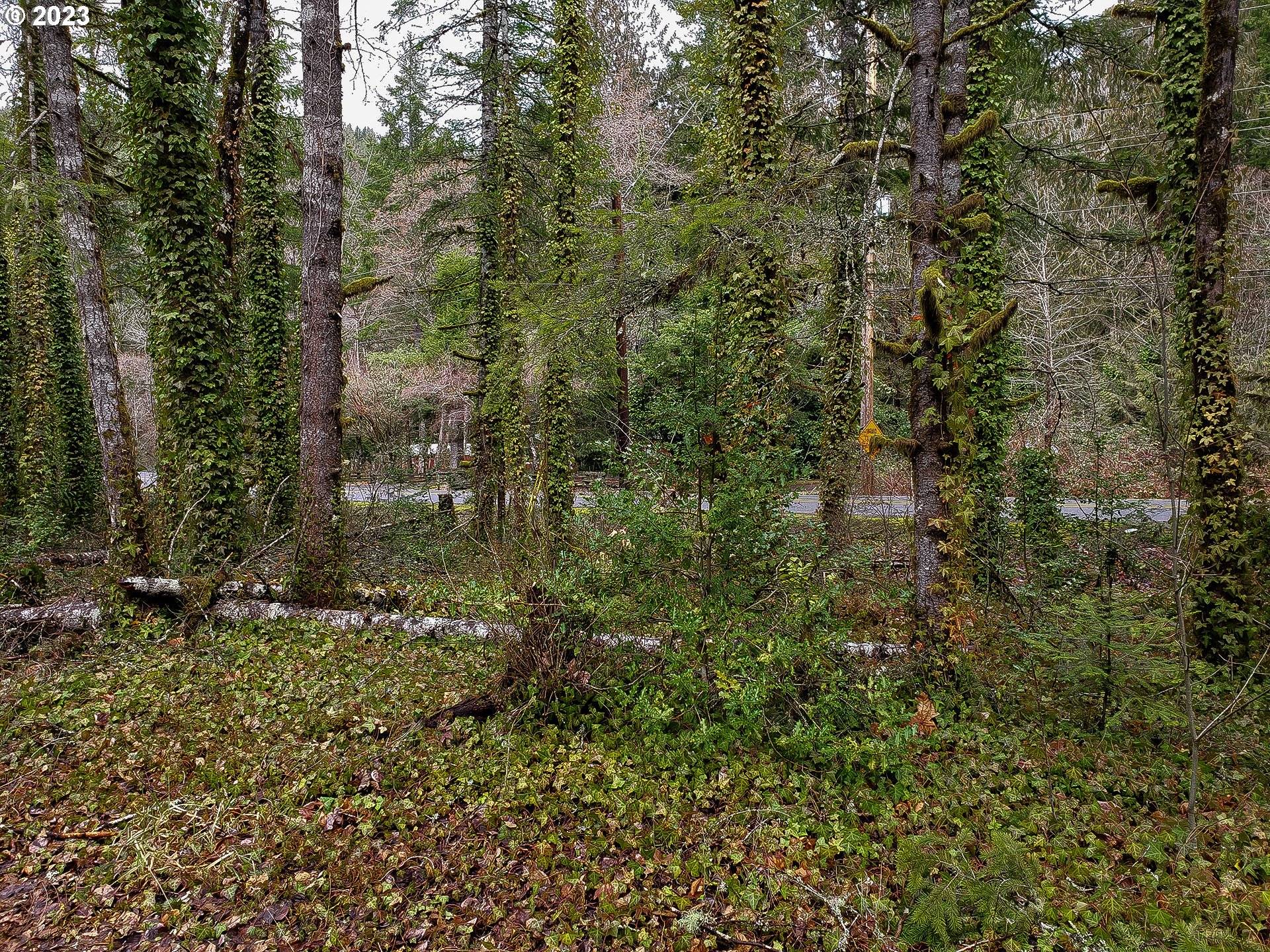 E Barlow Trail Rd Property Photo 8
