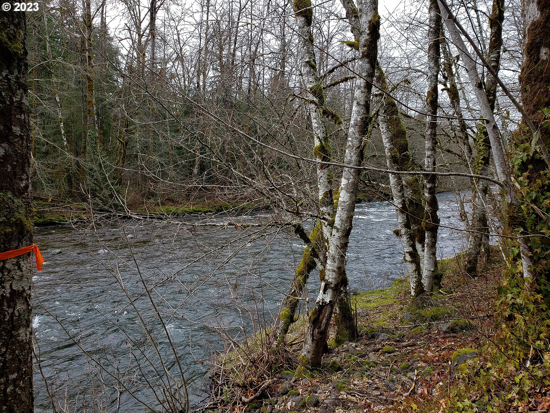 E Barlow Trail Rd Property Photo 10