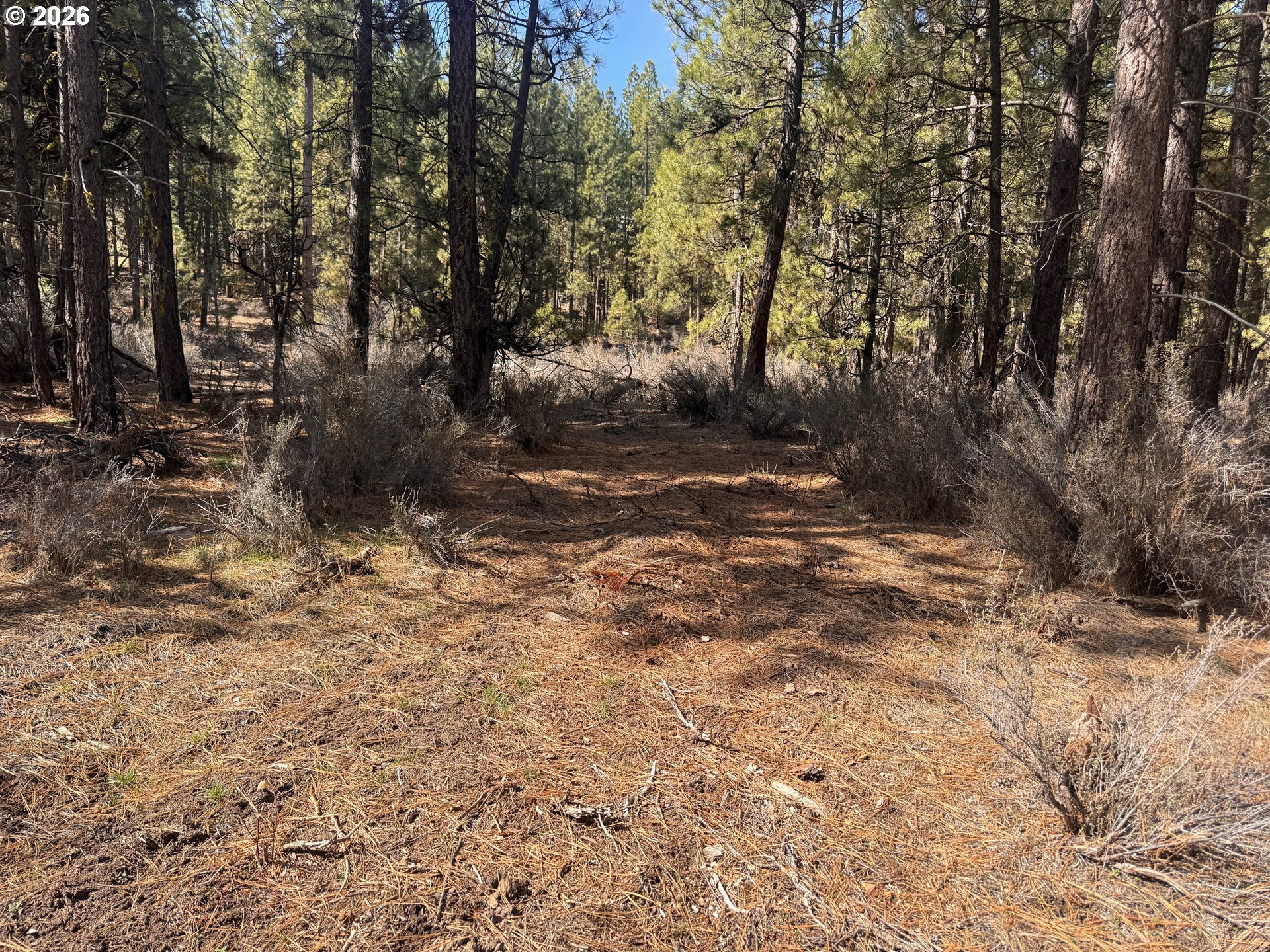 Bliss Rd 3610 Property Photo 4