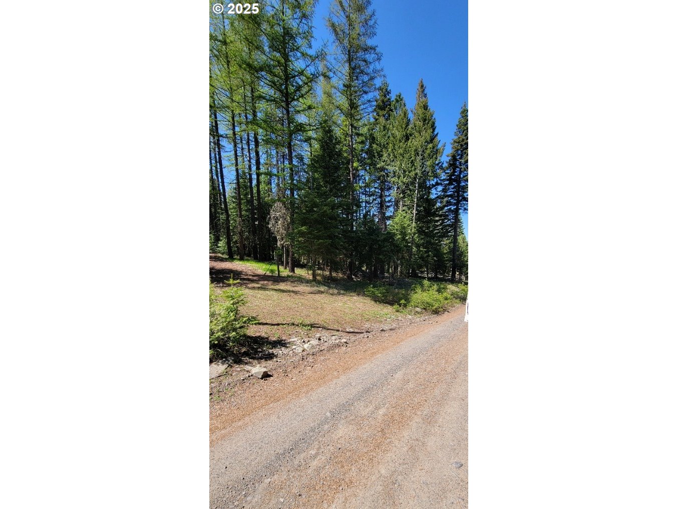 Chief Joseph Loop Rd Property Photo 2
