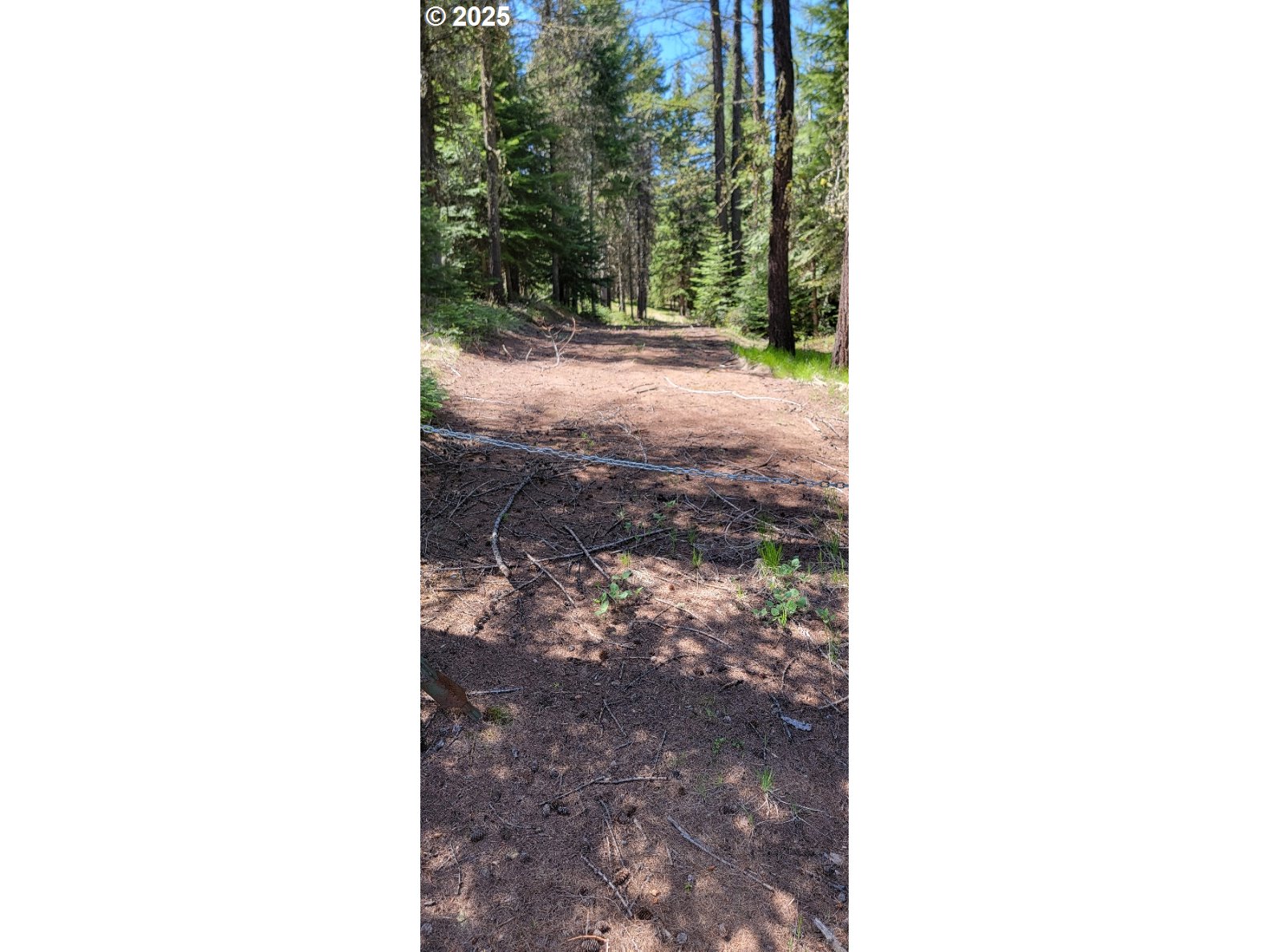 Chief Joseph Loop Rd Property Photo 3