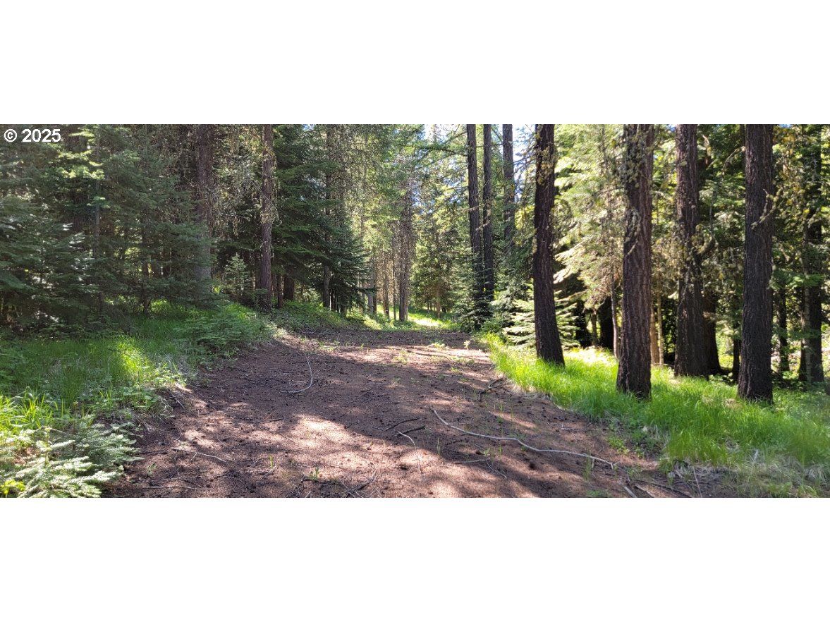 Chief Joseph Loop Rd Property Photo 4