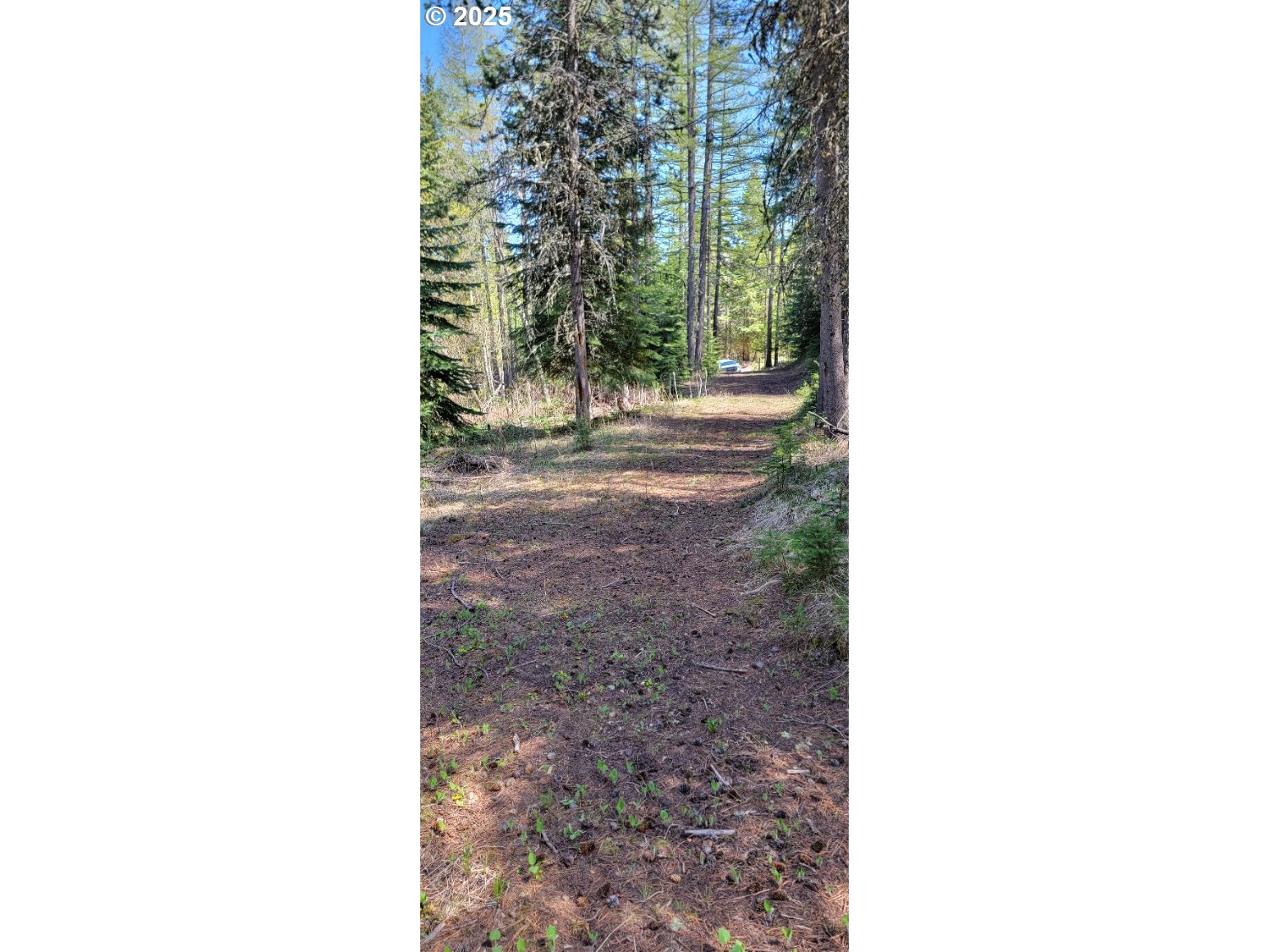 Chief Joseph Loop Rd Property Photo 5
