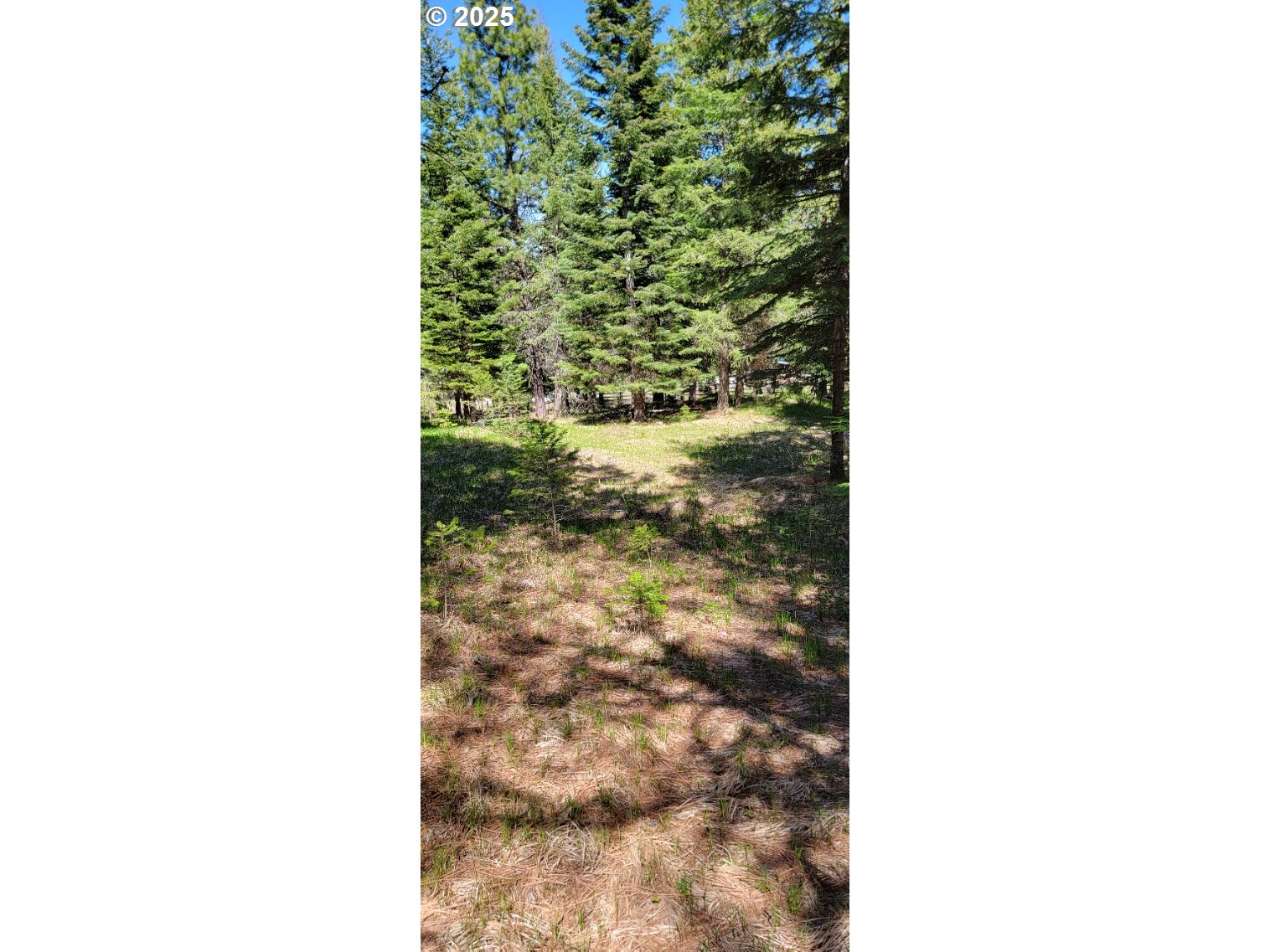 Chief Joseph Loop Rd Property Photo 6