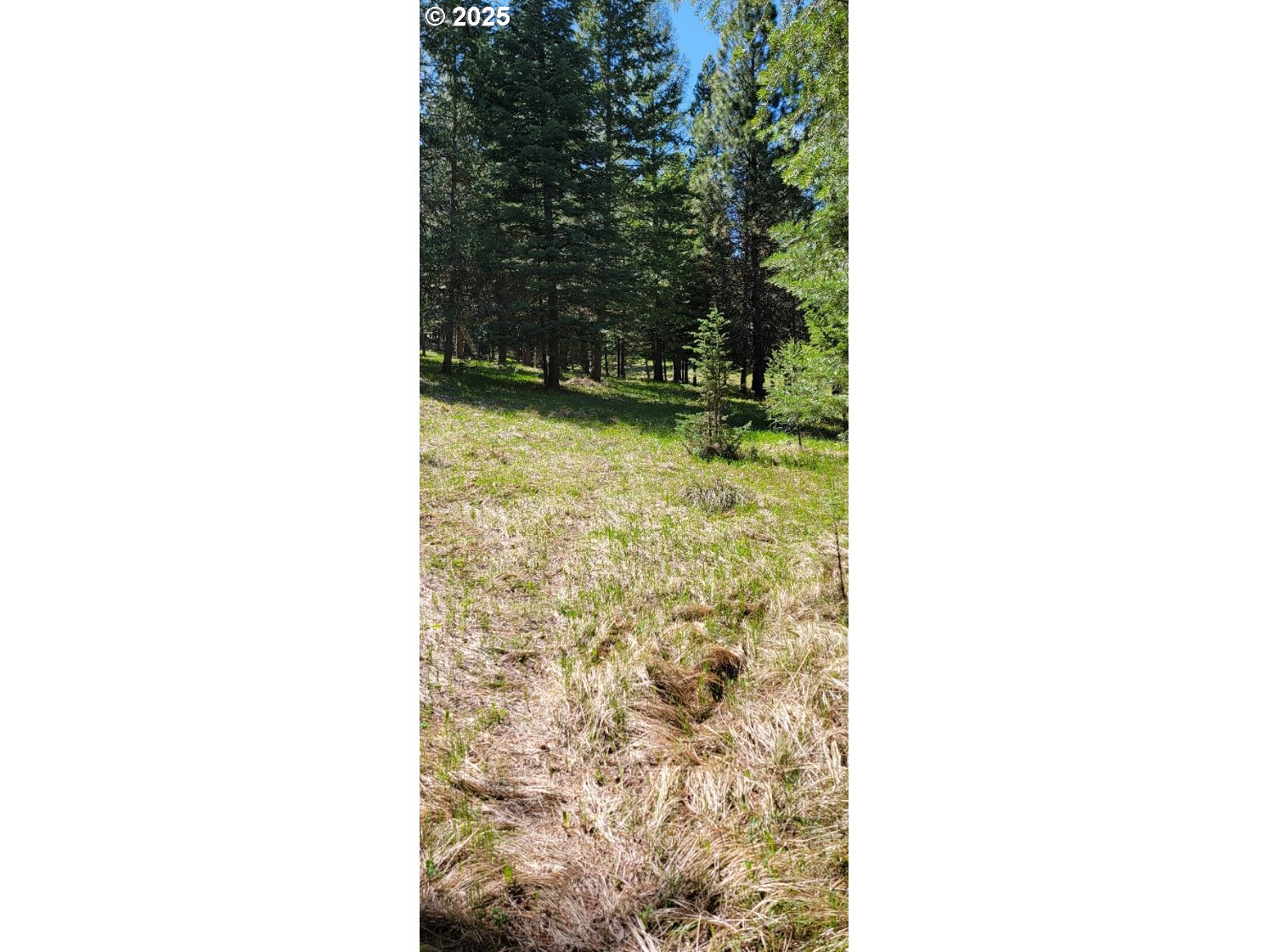 Chief Joseph Loop Rd Property Photo 7