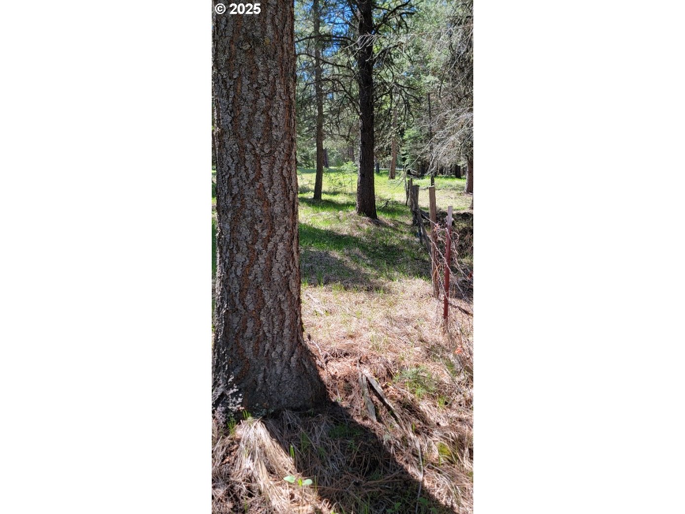 Chief Joseph Loop Rd Property Photo 8