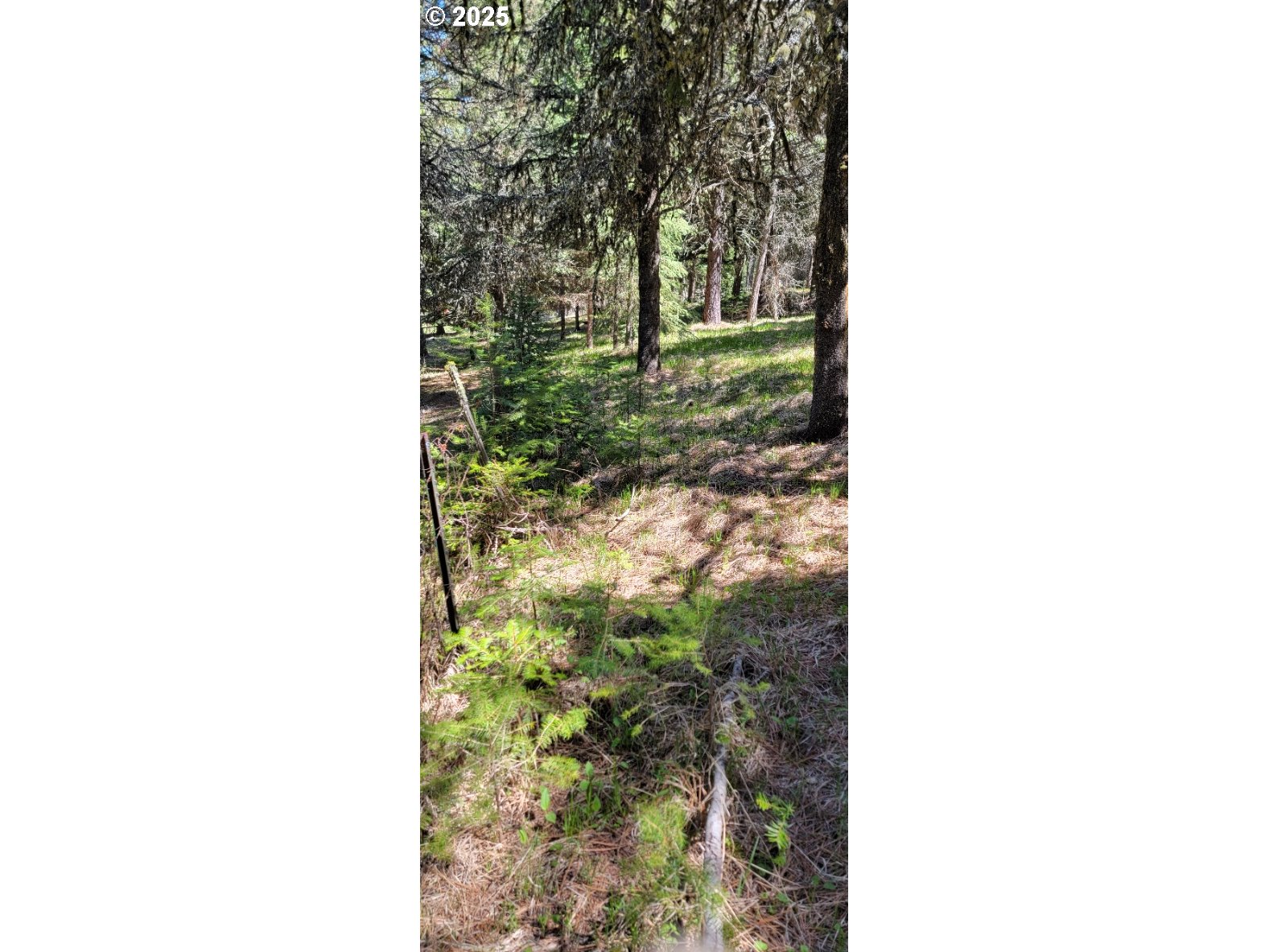 Chief Joseph Loop Rd Property Photo 9