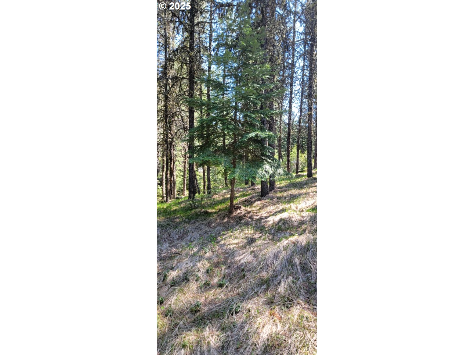 Chief Joseph Loop Rd Property Photo 10
