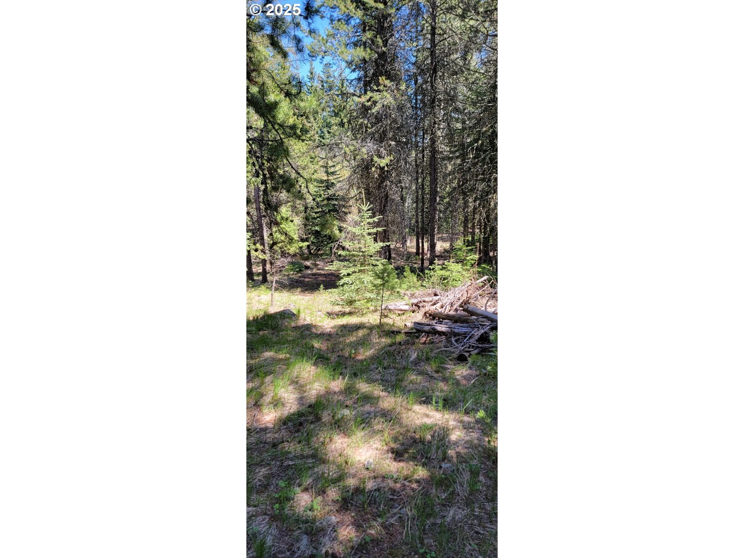 Chief Joseph Loop Rd Property Photo 11