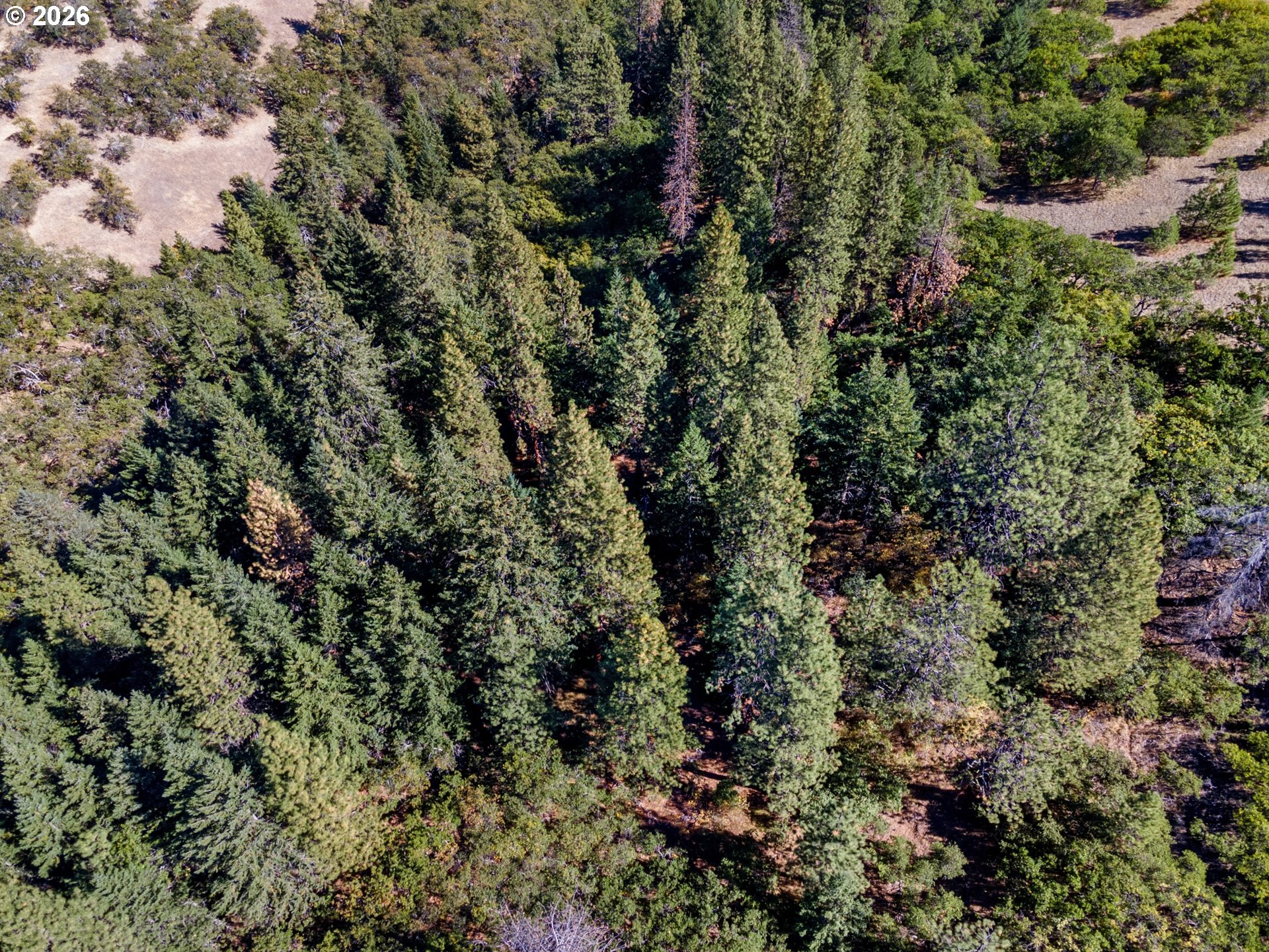 Colestin Rd Property Photo 8