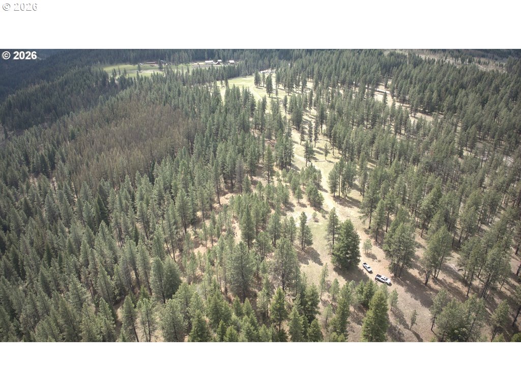 0 Palmer Junction Rd Property Photo 2