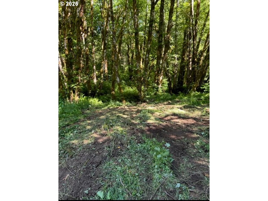 82467 Crowder Rd Property Photo 11