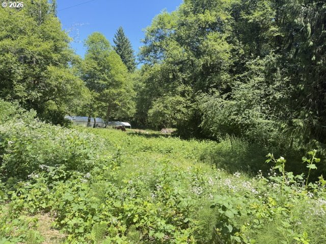82467 Crowder Rd Property Photo 12