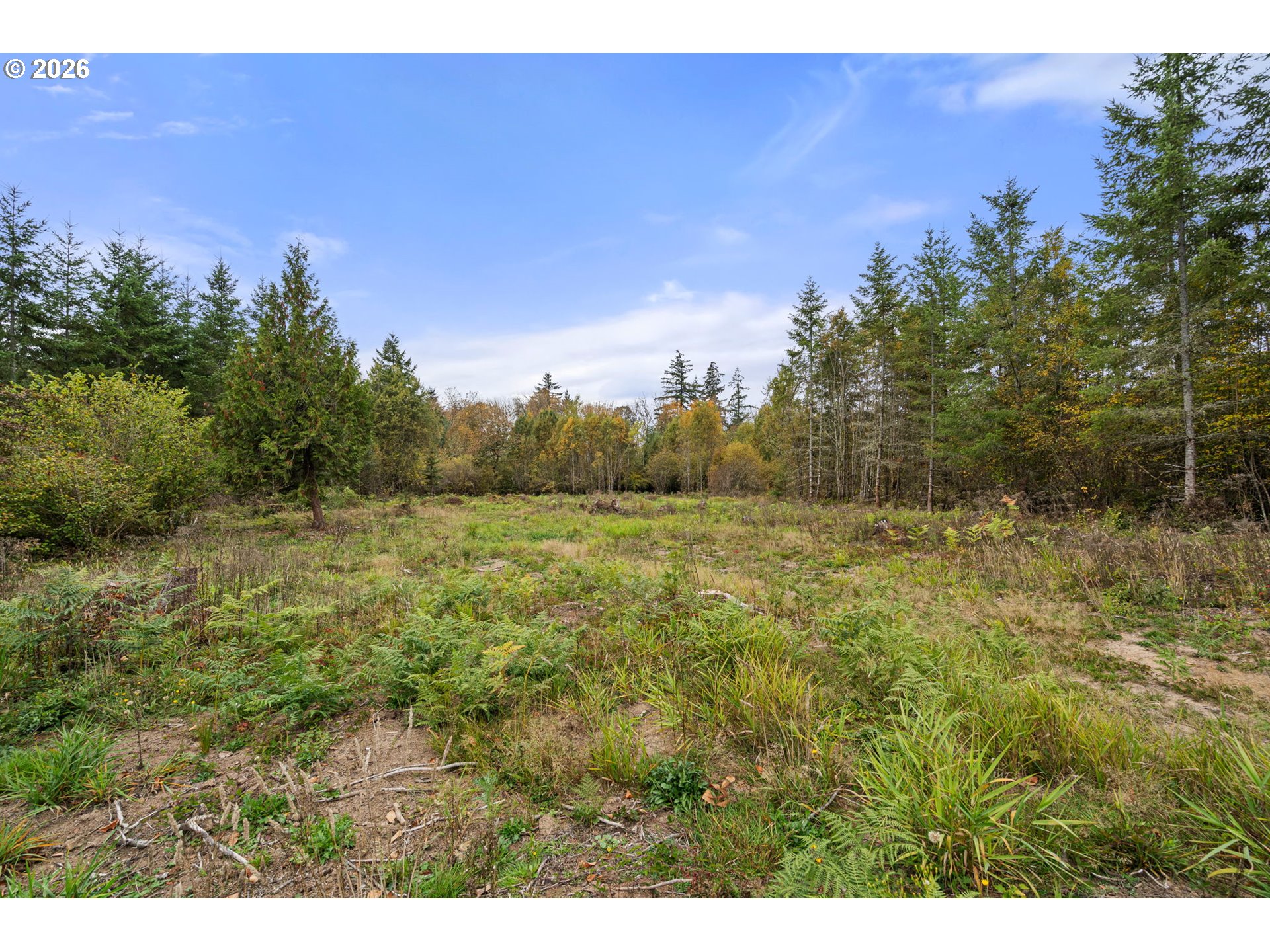 139 N Military Rd Property Photo 26