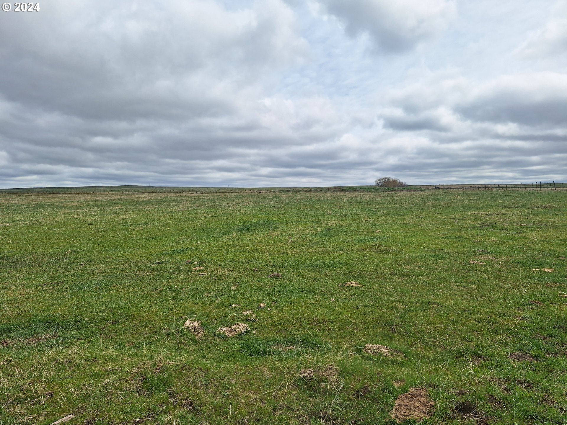Daggett Lane Property Photo 19