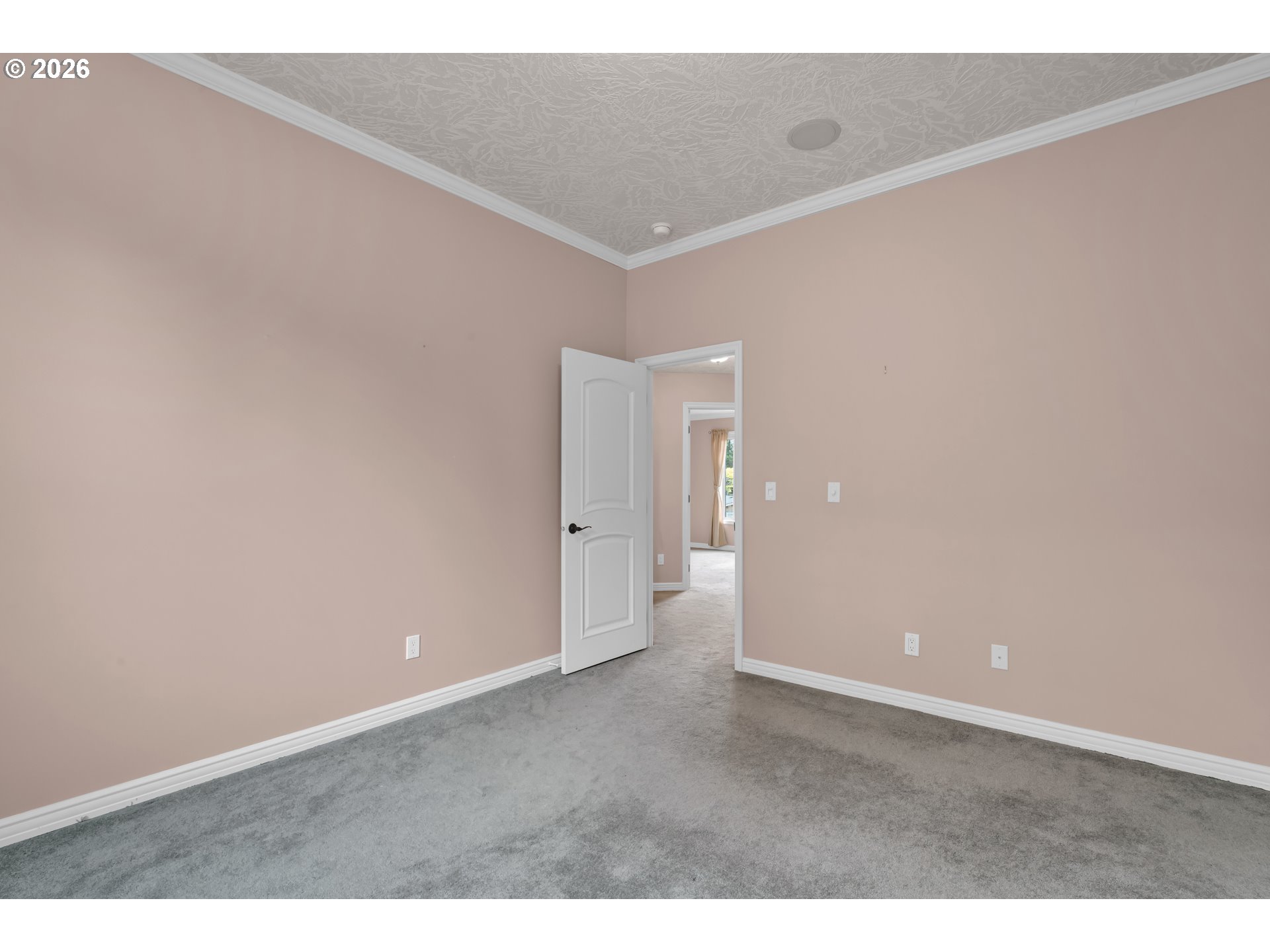 1619 Willow Loop Property Photo 33