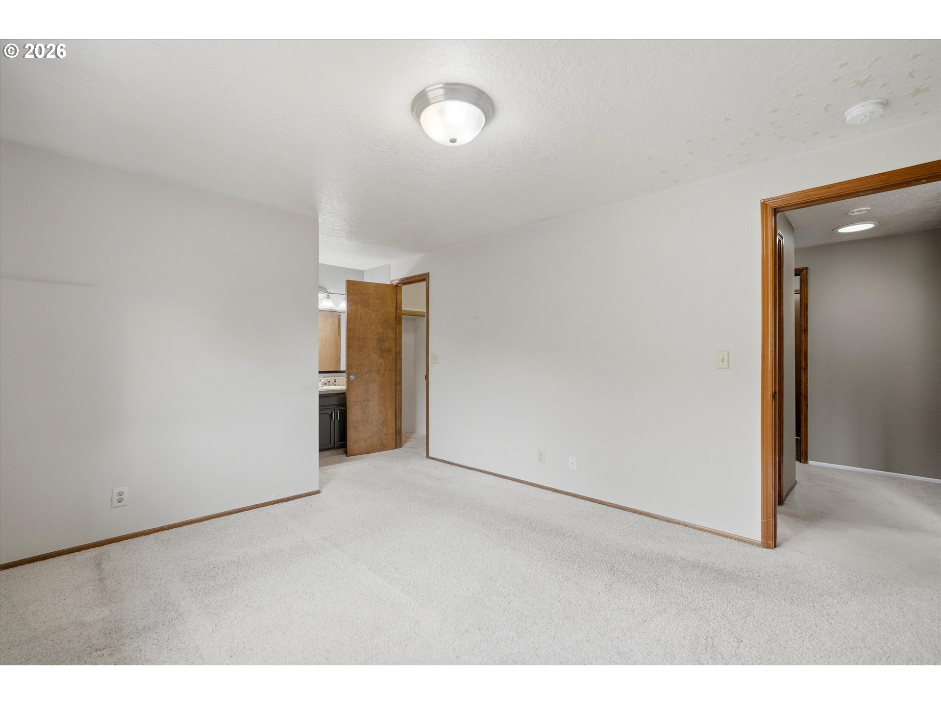 1019 Juniper St Property Photo 19