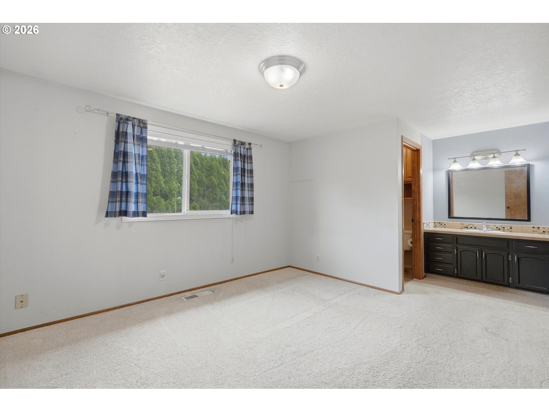 1019 Juniper St Property Photo 20