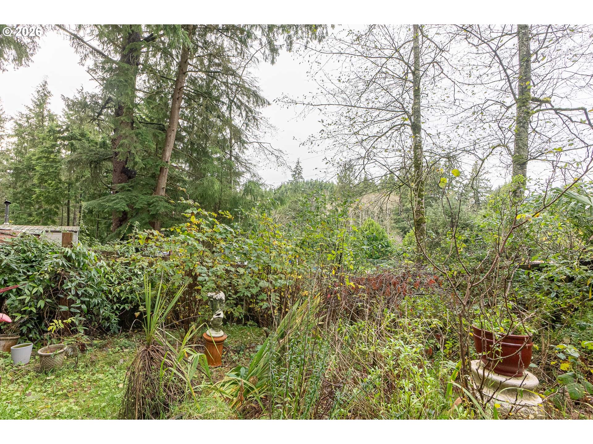 1845 Deer Ridge Rd Property Photo 32