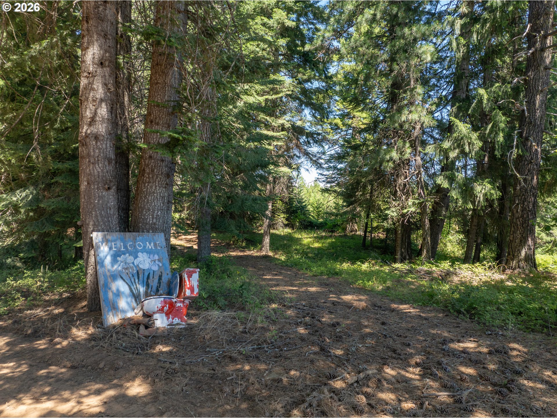 1251 Canyon Rd Property Photo 1